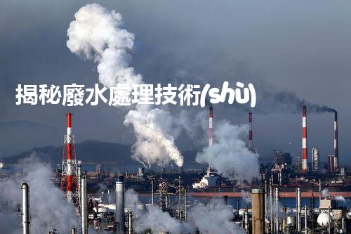 揭秘廢水處理技術(shù)及工程實例叢書的隱藏奧秘？